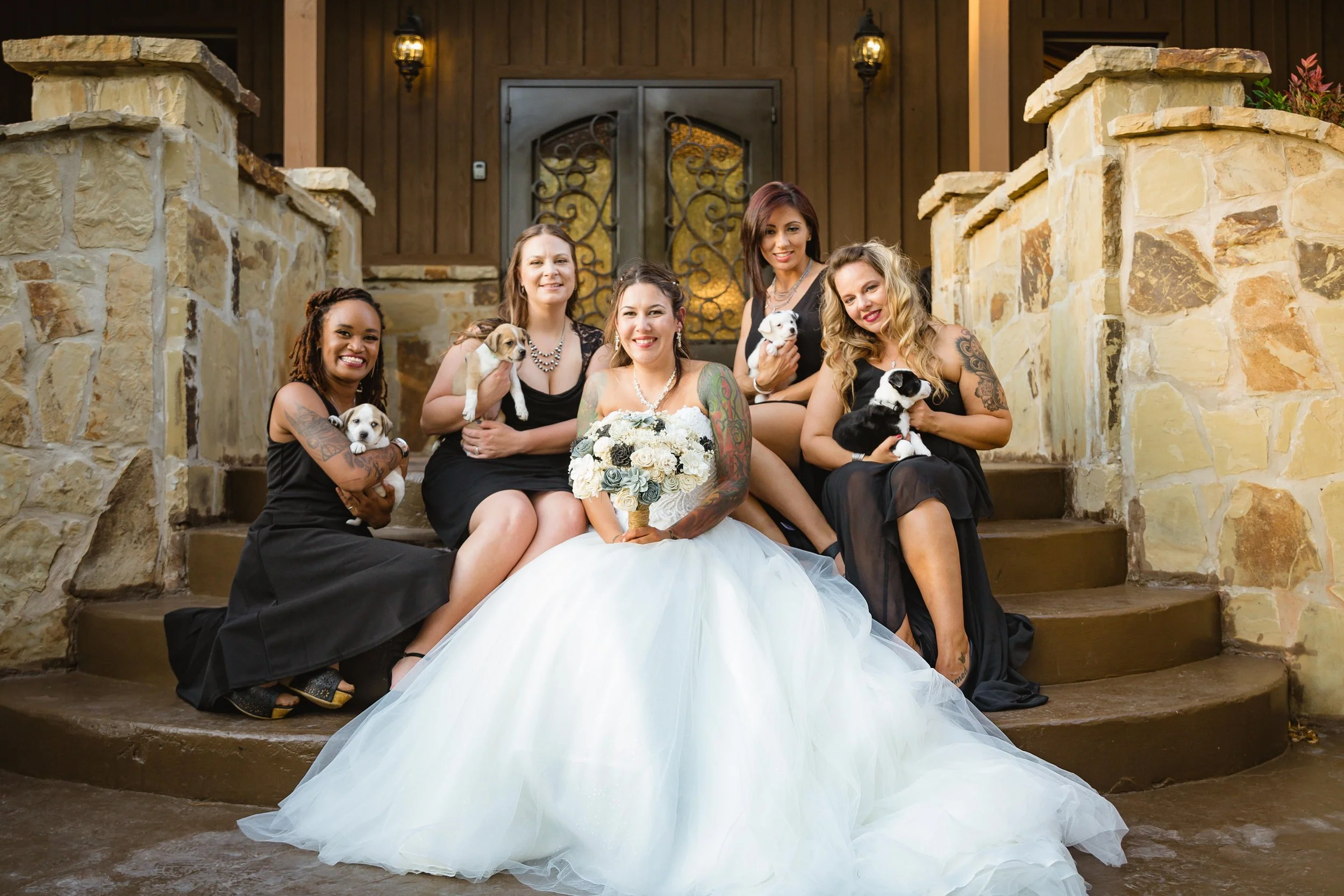 Group of women in formal attire, with one in a wedding dress, sitting on stone steps outside a building, holding small puppies, with two lanterns on the wall behind them.