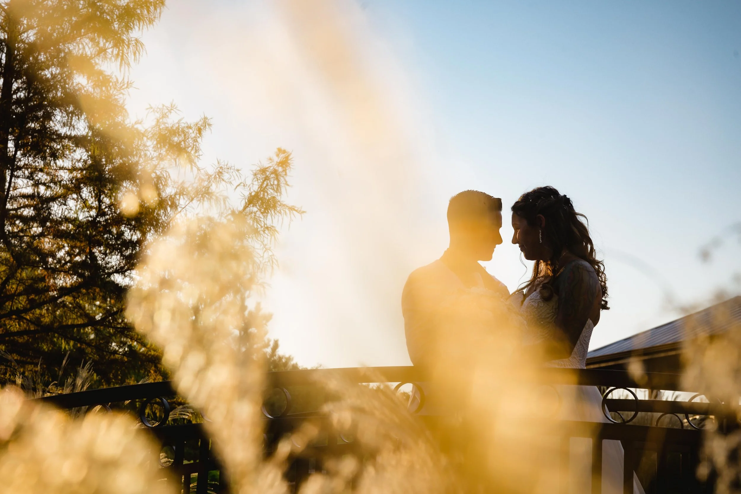 Silhouetted couple standing close together on a balcony during sunset, with trees and blue sky in the background, and blurred plants in the foreground.