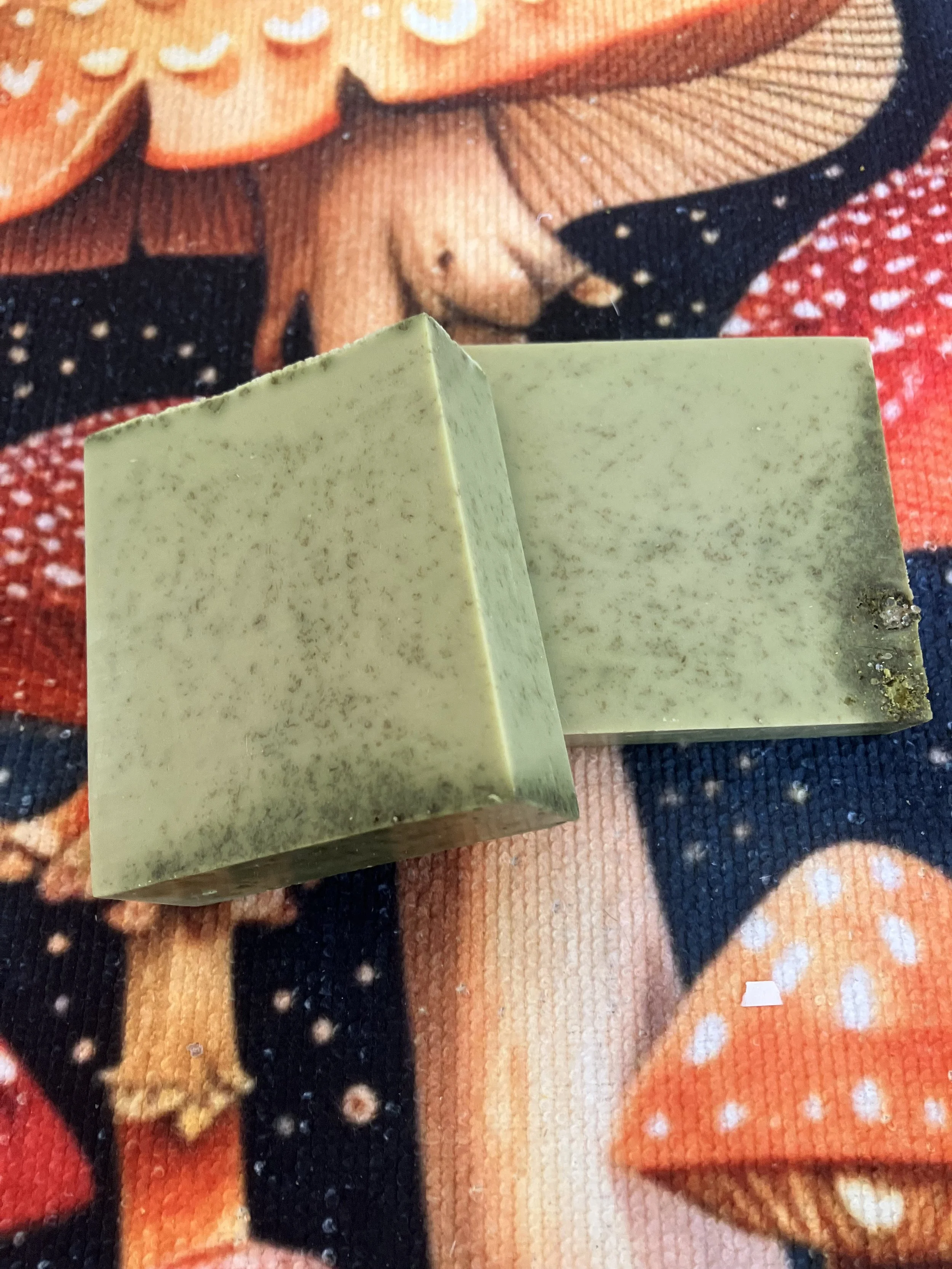 Matcha and moringa donkey milk soap