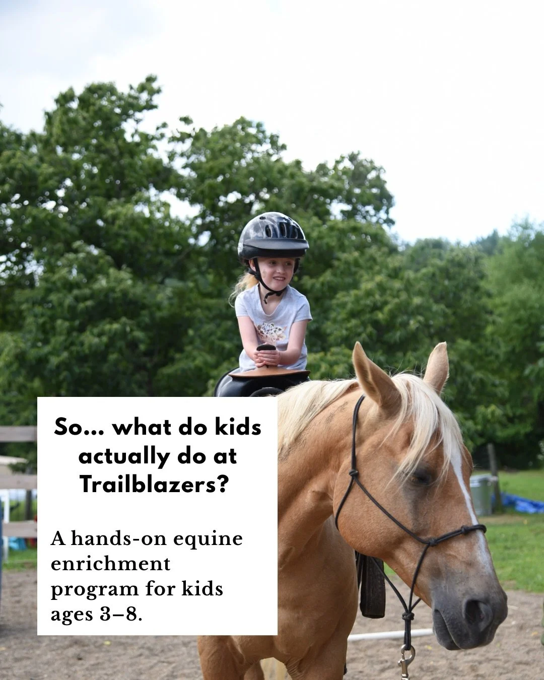So&hellip; what do kids actually DO at Trailblazers?

A little learning, a little teamwork, a lot of hands-on fun, and of course, horses.

Kids will learn how to safely interact with and care for a horse, take on real jobs and challenges, work alongs