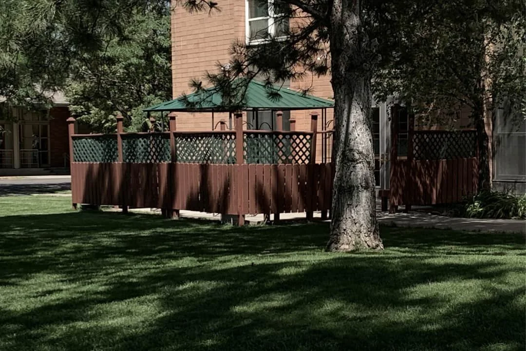 Outdoor pavilion and seating area shaded by trees
