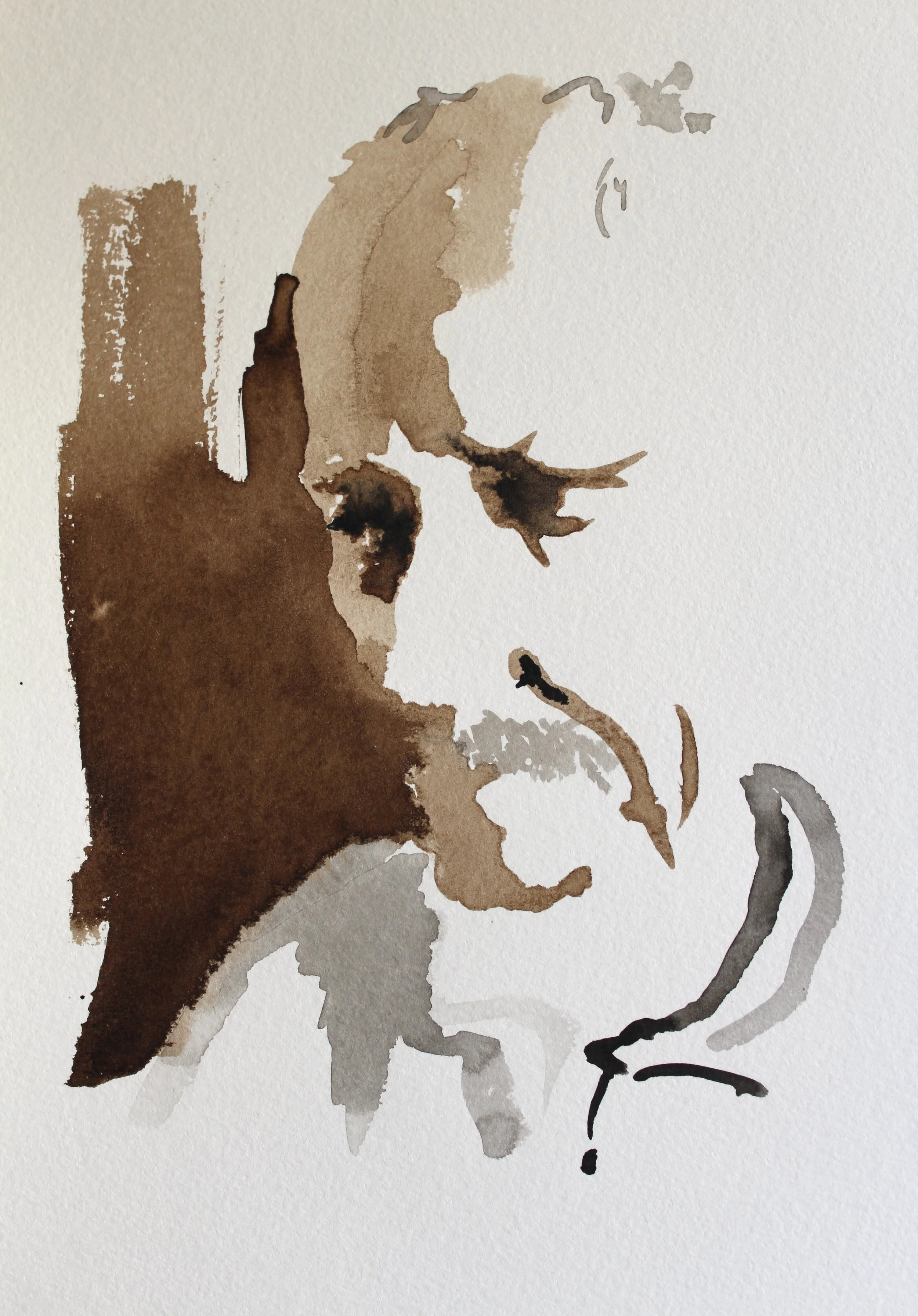 Stephen 
(ink on paper, 29 cm x 21 cm)