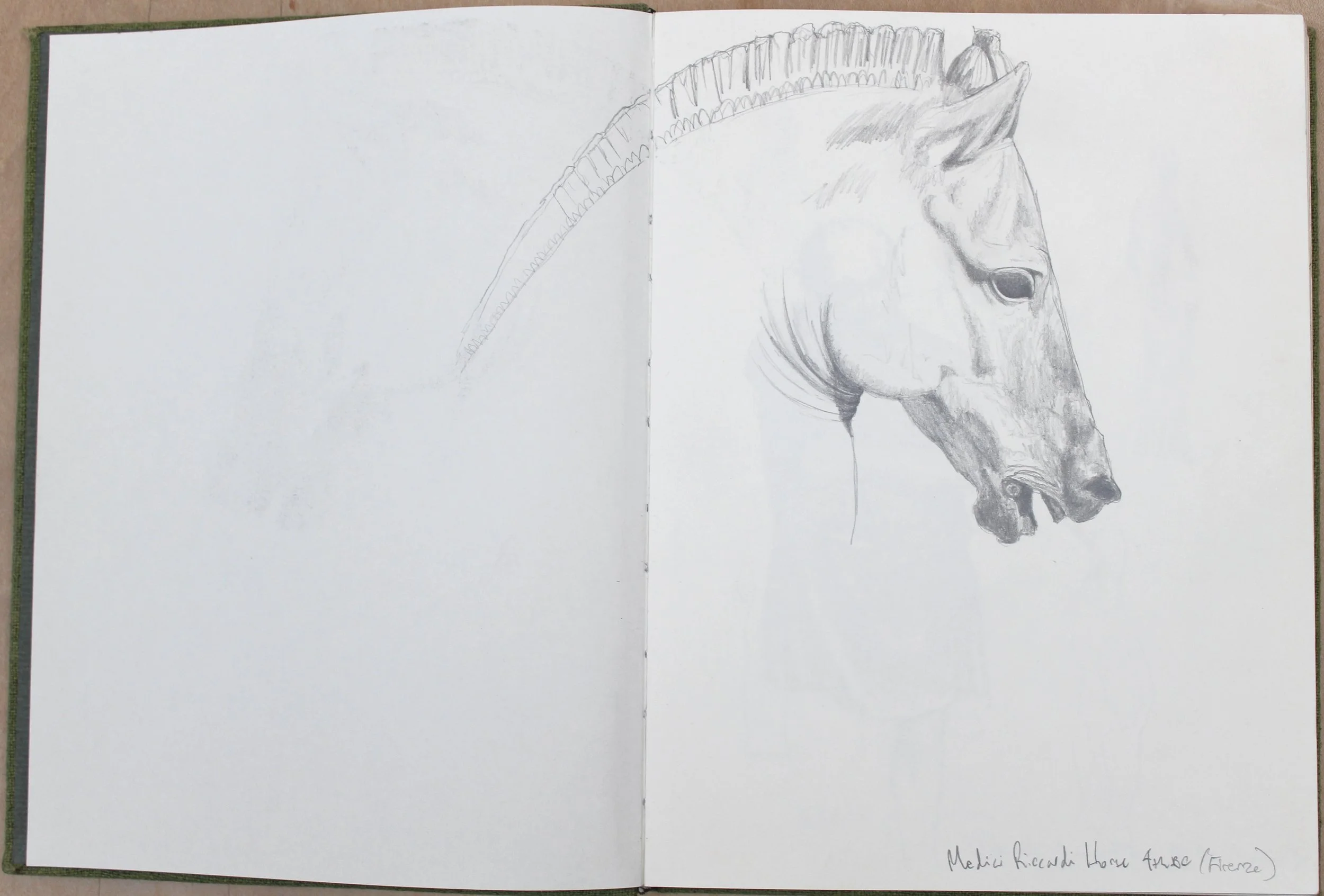 Medici Riccardi horse head