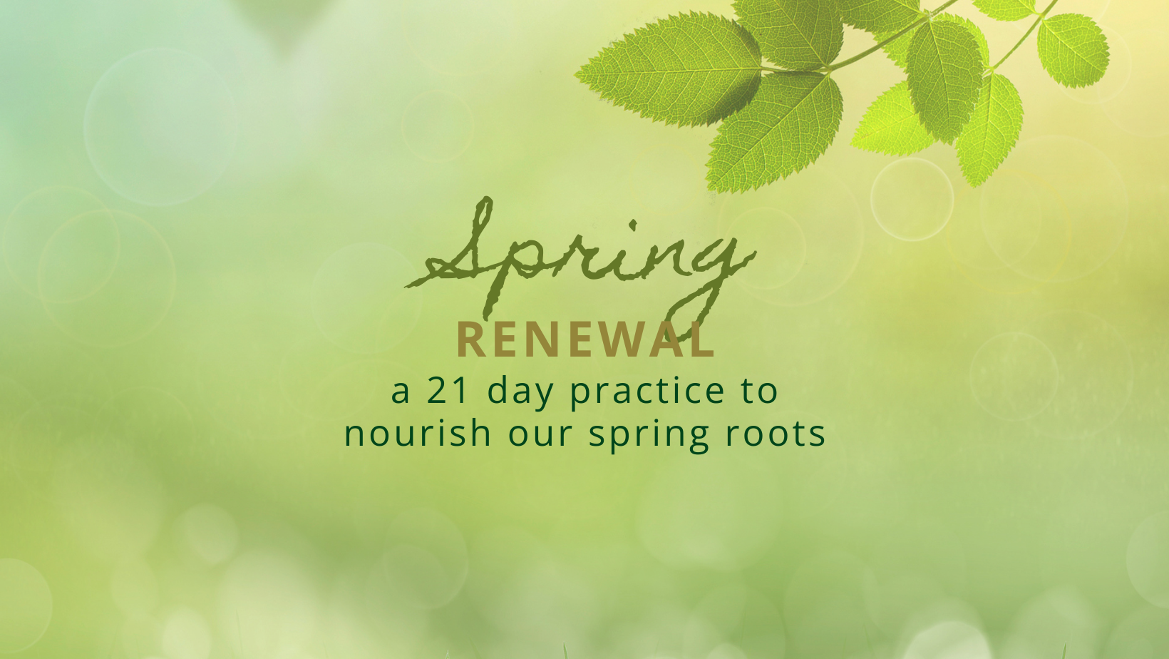 Spring Renewal a 21 day practice to nourish our spring roots. Online Course.