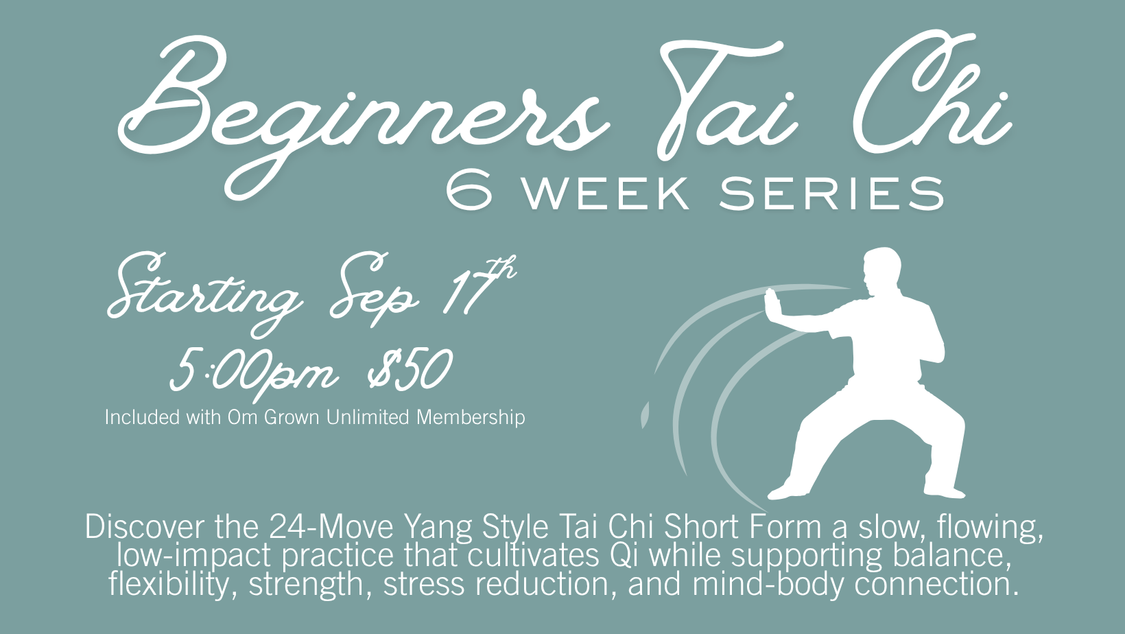 Beginners Tai Chi