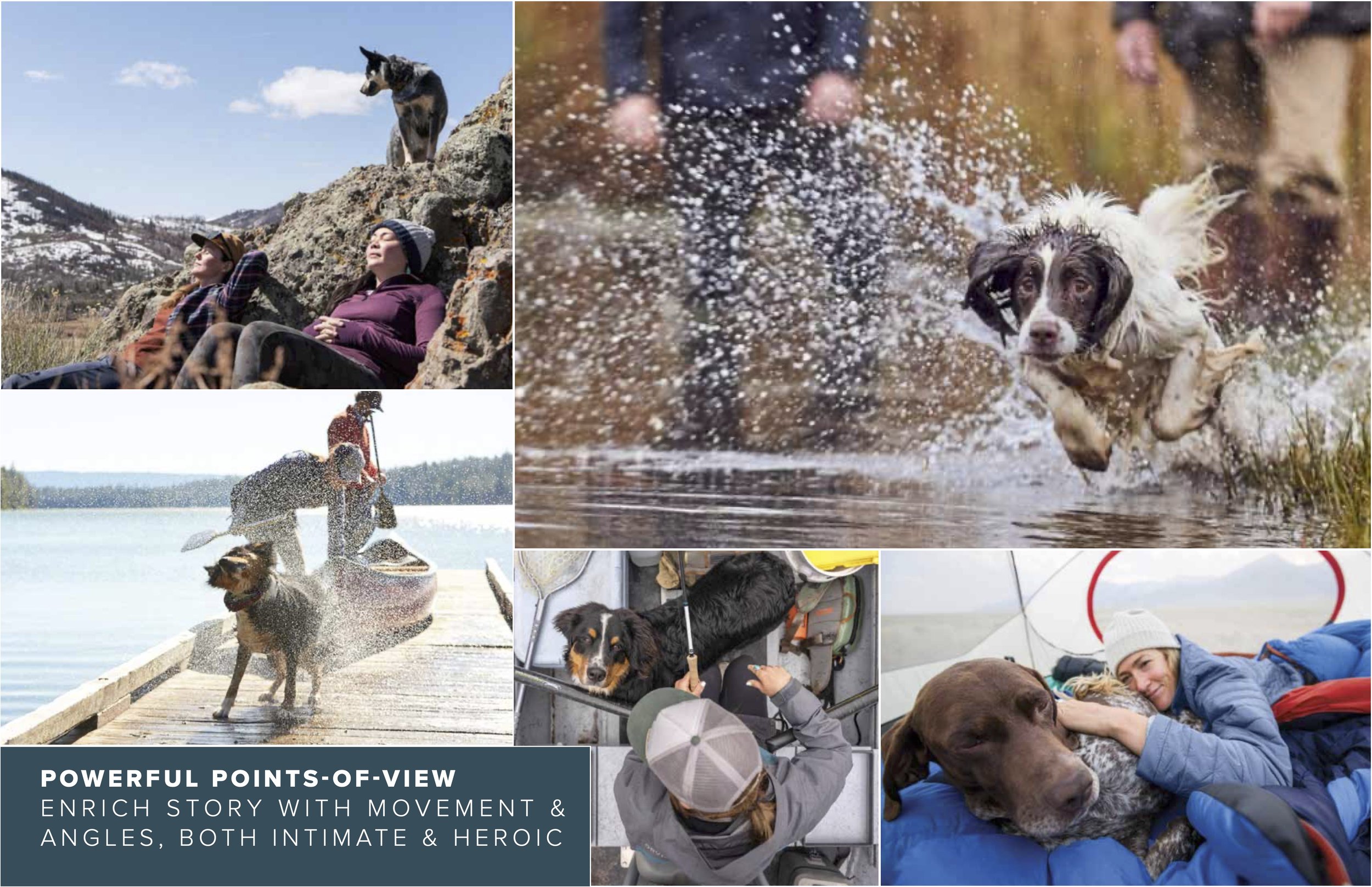 Dog Brand Creative Guidelines - 8.jpg