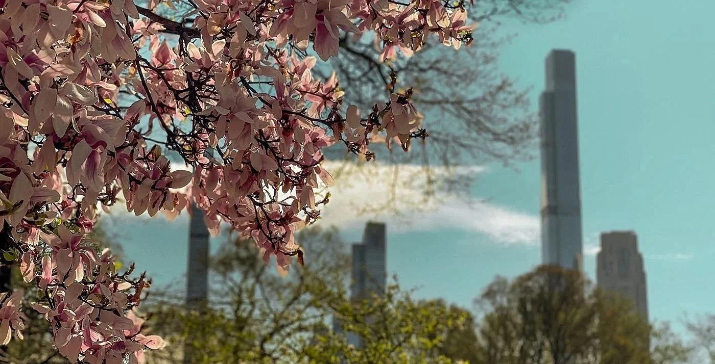 TRUE View: The Spring Market, Rewritten