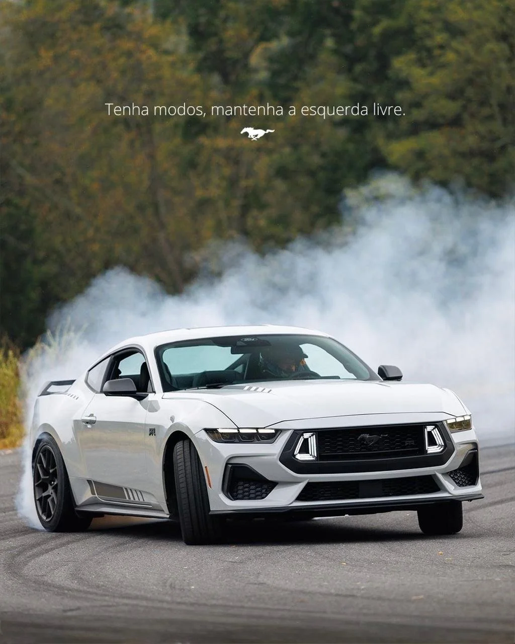 WhatsApp Image 2026-04-16 at 19.59.46.jpeg