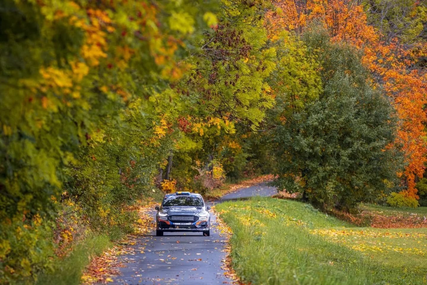Through the Czech forests
Mille Johansson and Johan Gr&ouml;nvall in their Ford Fiesta Rally3, SS10 Keply 1 🇨🇿

⚠️ All rights reserved | Unauthorized use is prohibited
#WRC #CentralEuropeanRally #Msport #ford #Rally1 #Rally #Motorsport #RallyPhotog