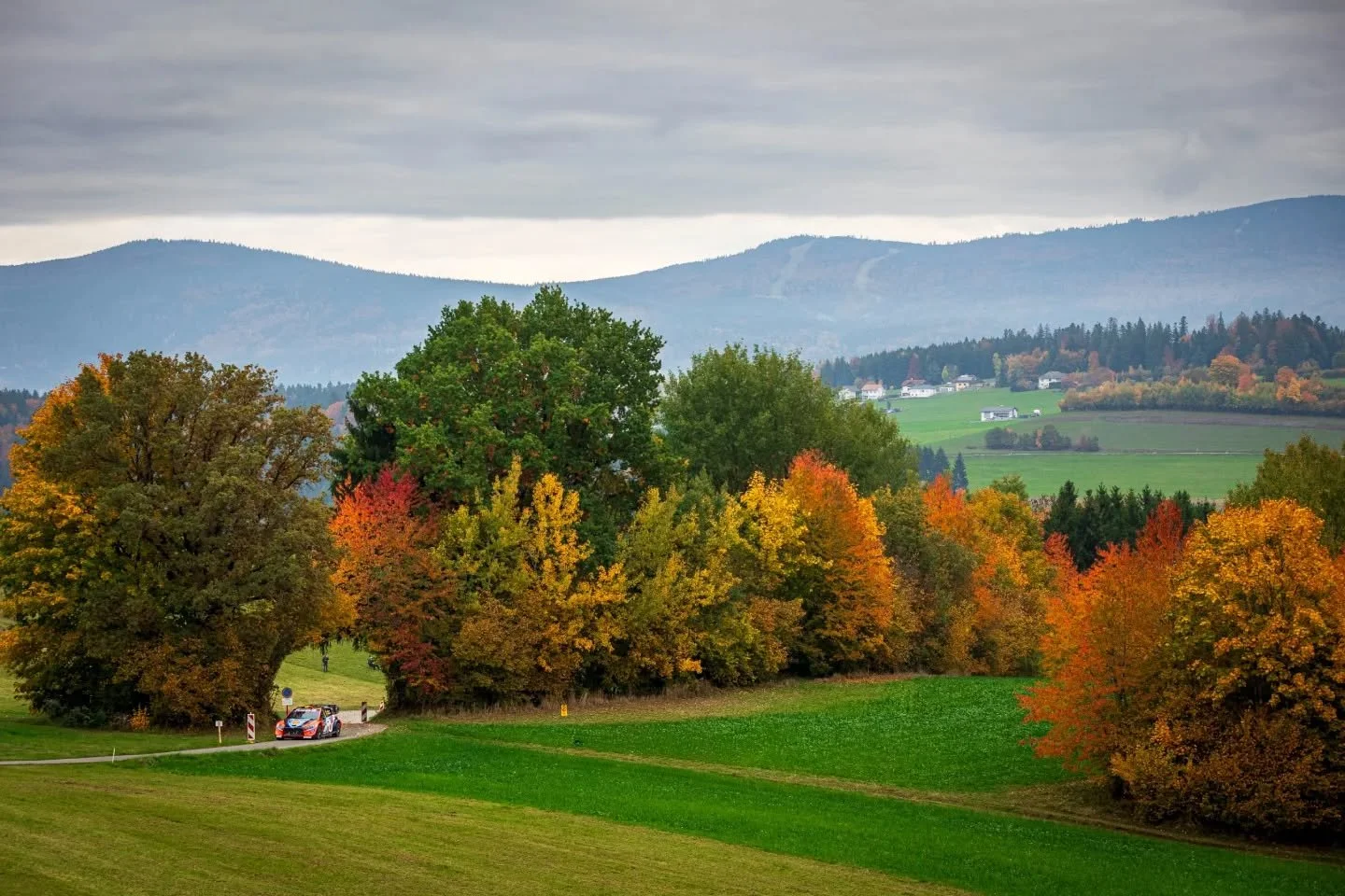 Framed by autumn. 🍂
#16 Fourmaux &amp; Coria | Hyundai i20 N Rally1

📍WRC Central European Rally 2025 
📸 Marco Rimola
&copy;️ Marco Rimola Photography
⚠️ All rights reserved | Unauthorized use is prohibited

#WRC #CentralEuropeanRally #HyundaiMoto