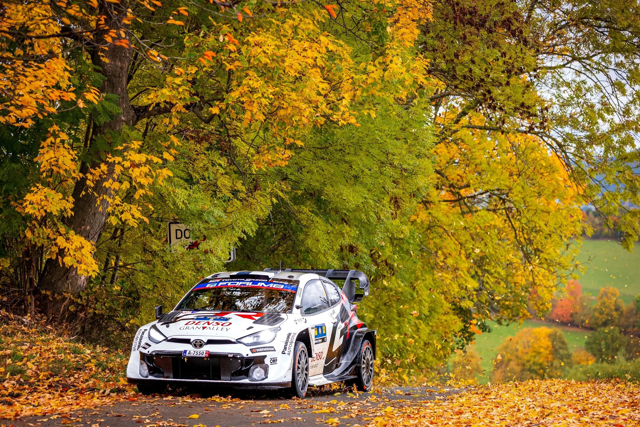Leaf it to Pajari
#5 Sami Pajari and Marko Salminen

📍WRC Central European Rally 2025 
📸 Marco Rimola
&copy;️ Marco Rimola Photography
⚠️ All rights reserved | Unauthorized use is prohibited
#WRC #CentralEuropeanRally #toyotayaris #toyota #Rally1 #