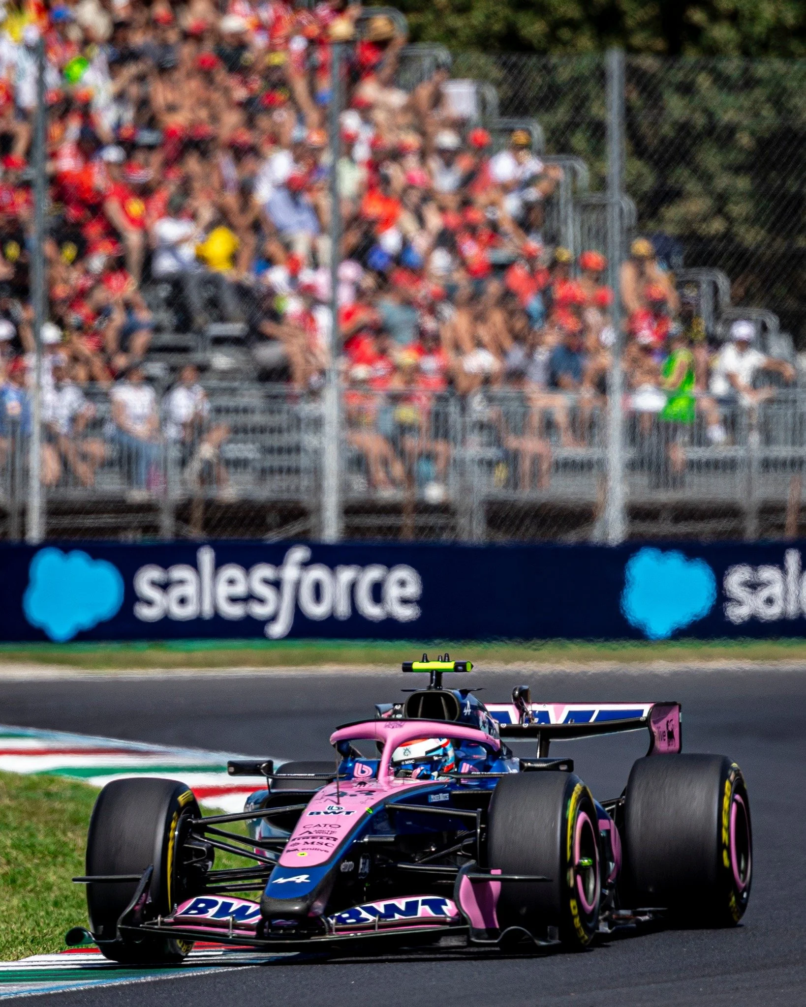 A tough Baku to put behind him.
Franco Colapinto heads into the Bahrain Grand Prix in Malaysia looking to bounce back, with a five-place grid penalty to overcome.

📍 Monza, September 2026

📸 Marco Rimola
&copy;️ Marco Rimola Photography
⚠️ All righ
