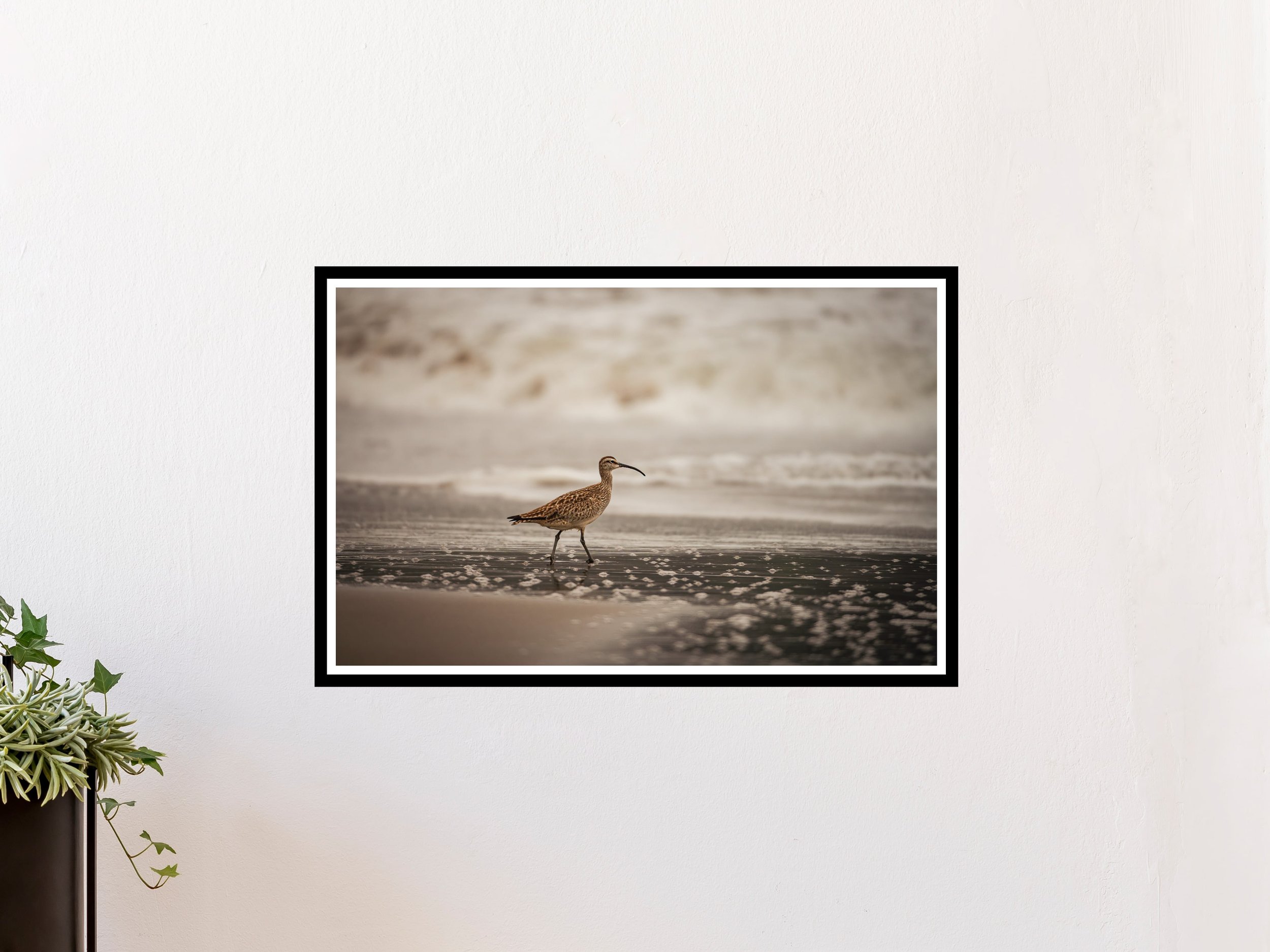 17x25 Border EWBB-2.jpg