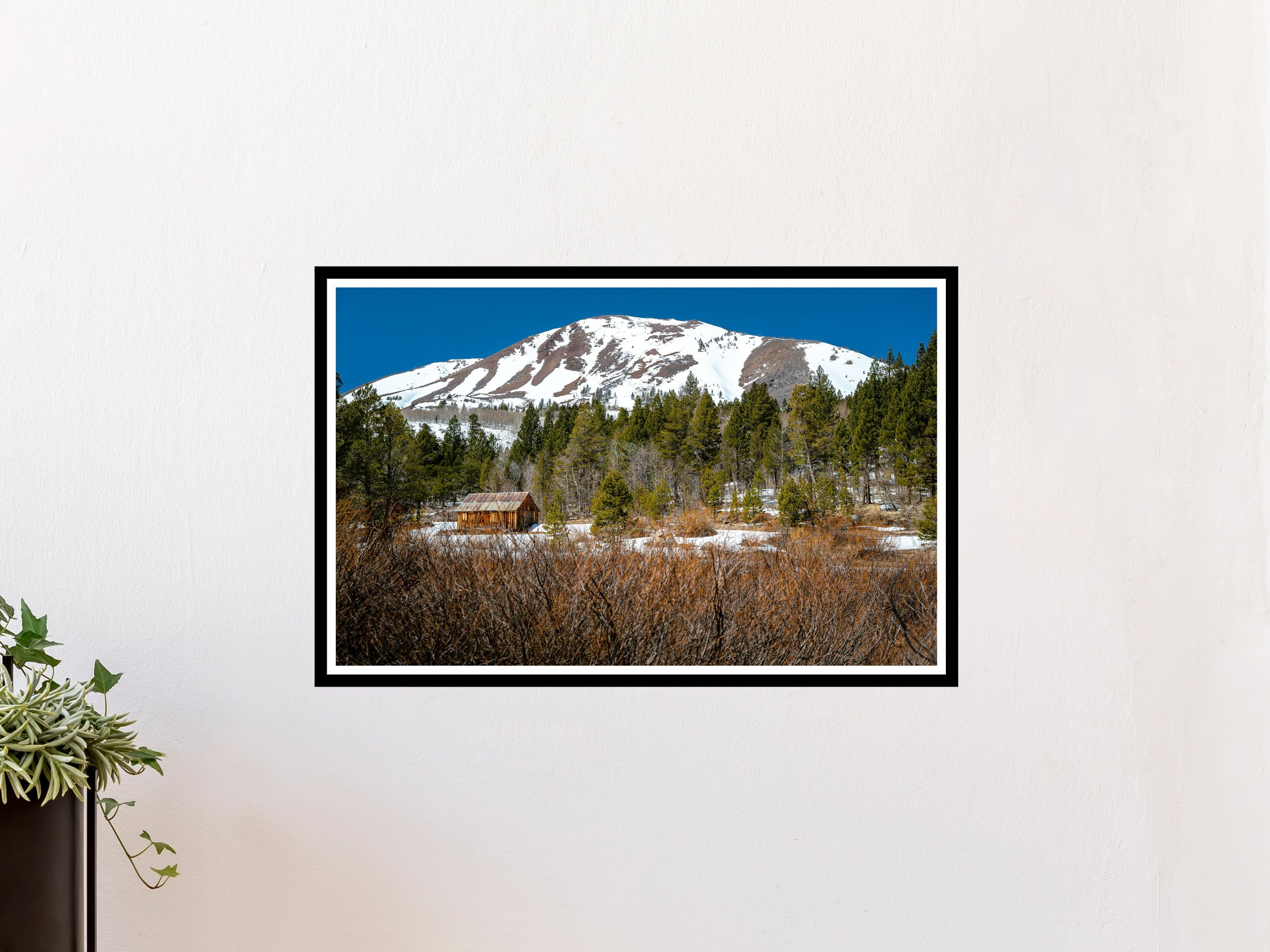 17x25 Border CIW-2.jpg