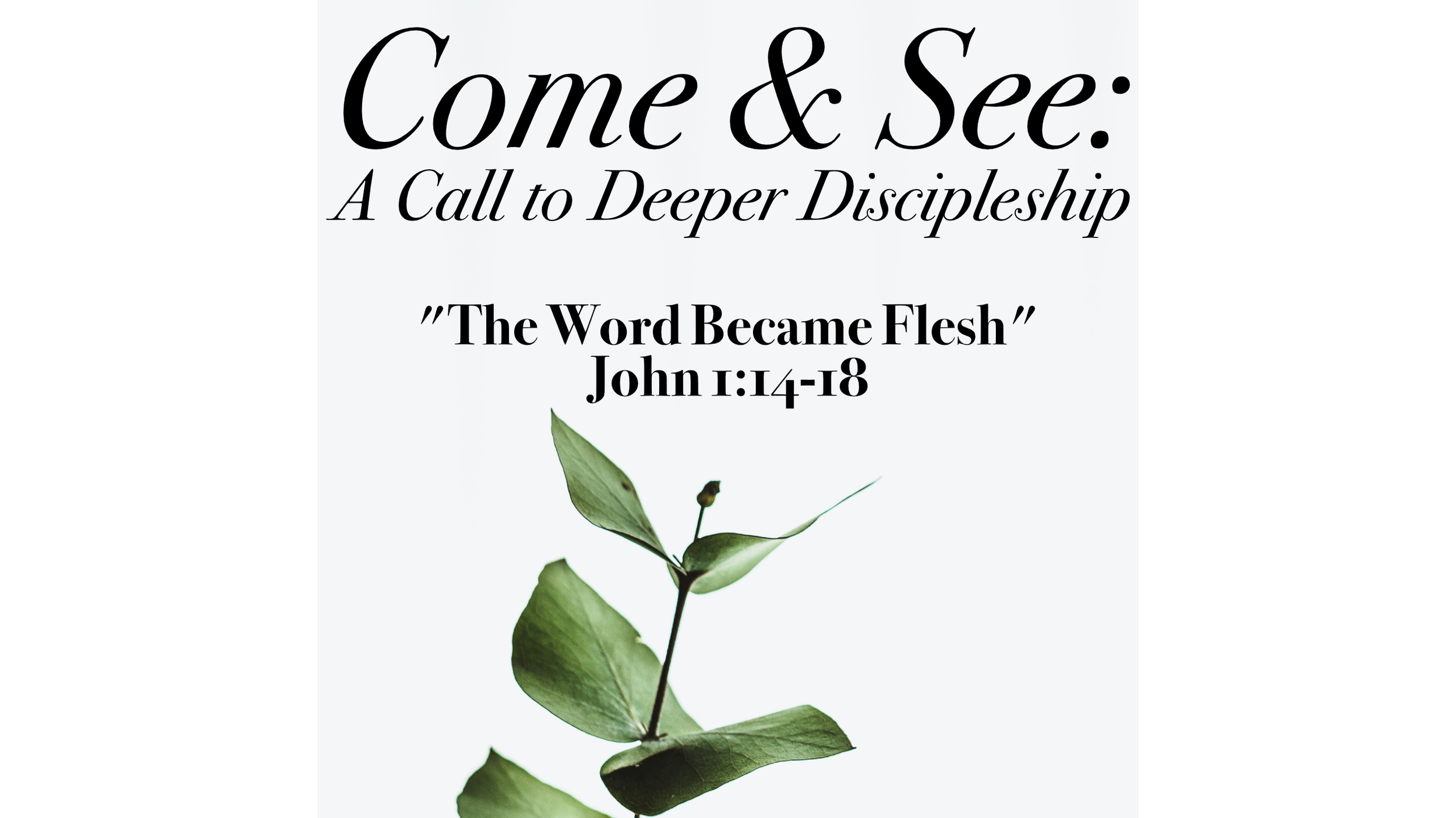 Come And See: A Call To Deeper Discipleship, "The Word Became Flesh"