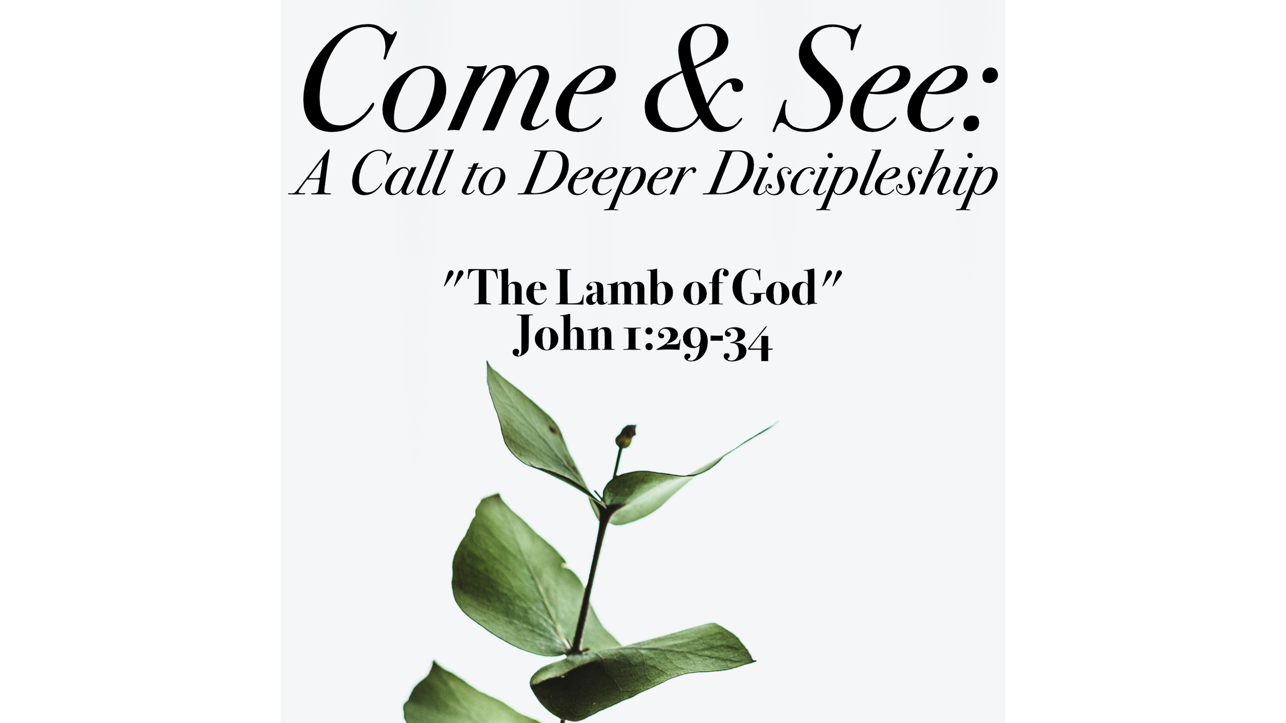 Come And See: “The Lamb of God”