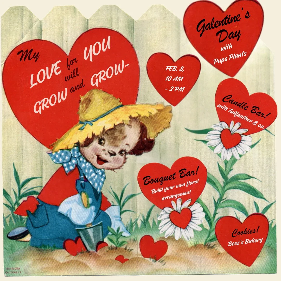 Galentines Day with Pups Plants