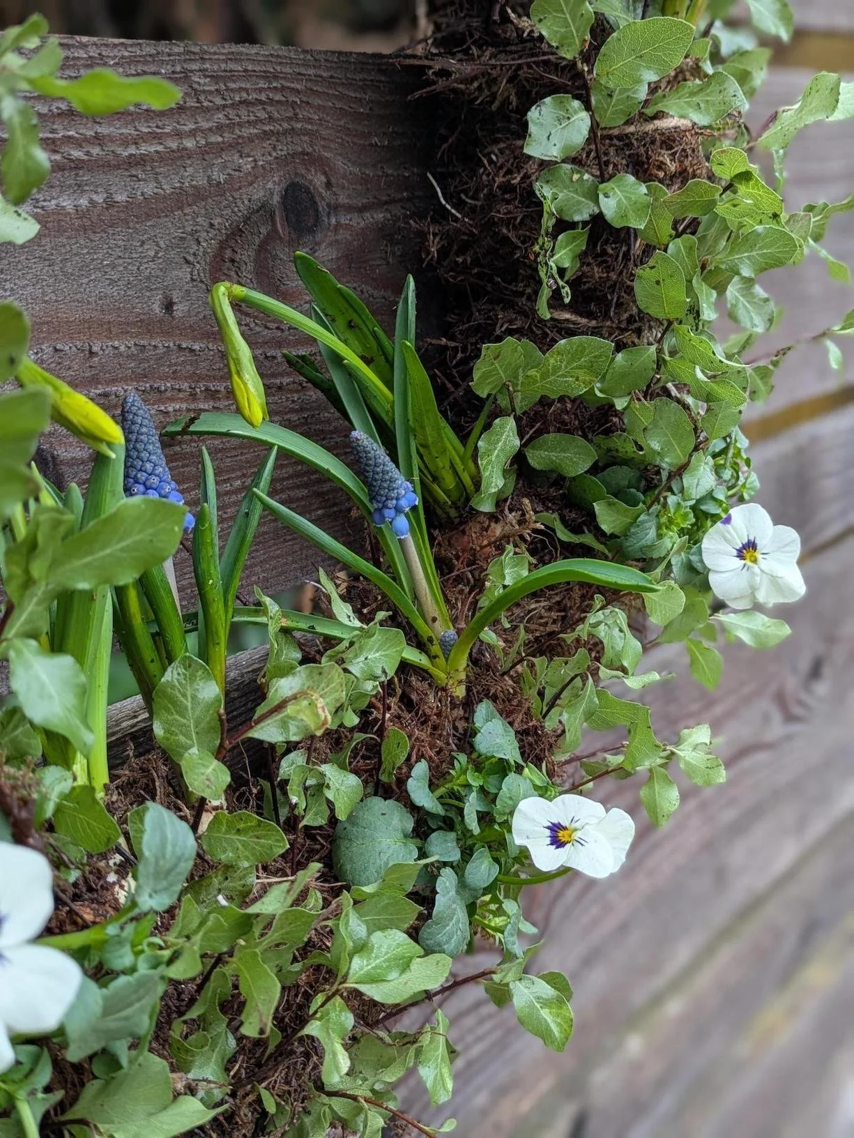 PXL_20260210_121513043.PORTRAIT copy.jpg