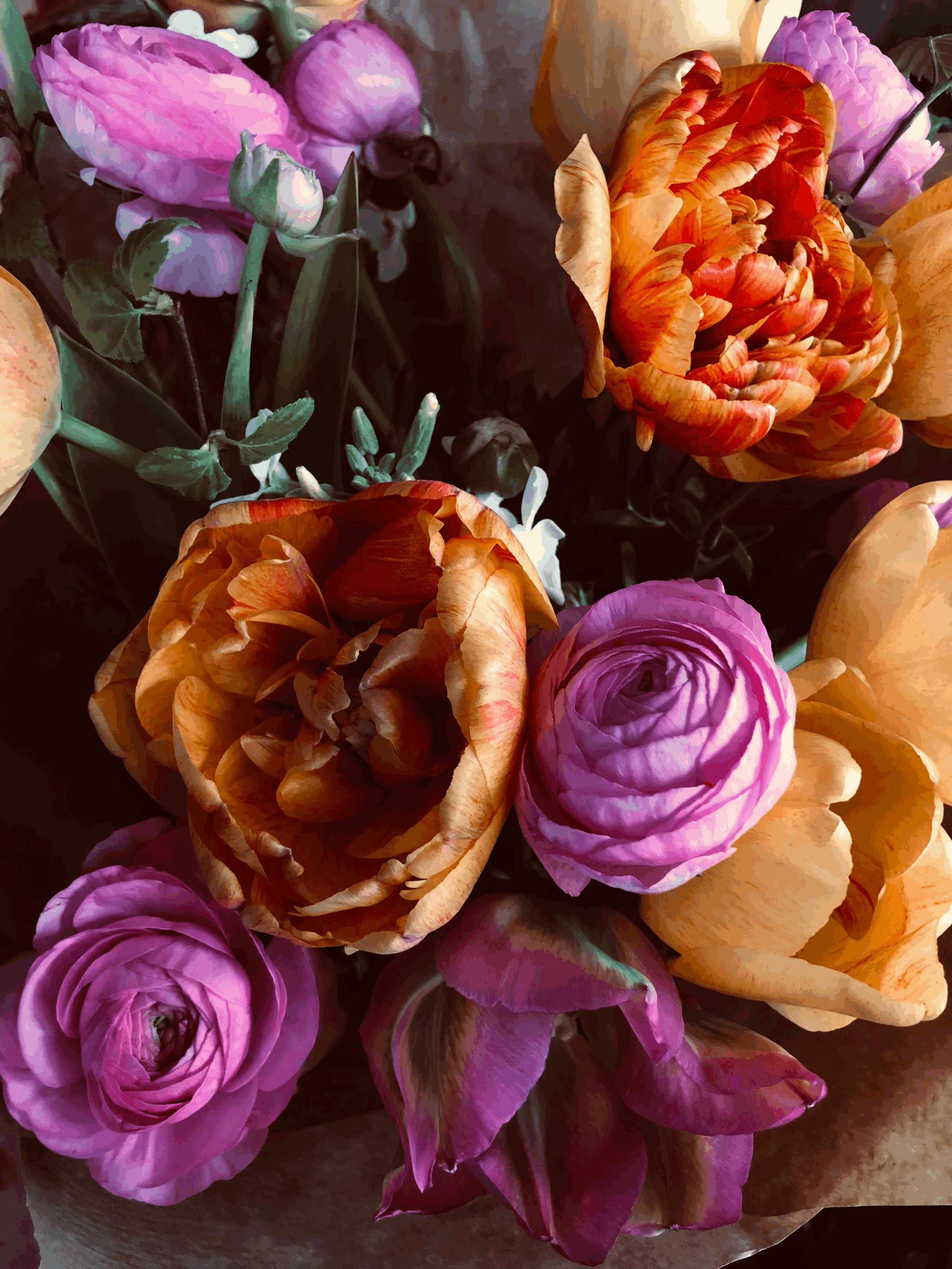 Friday Flowers