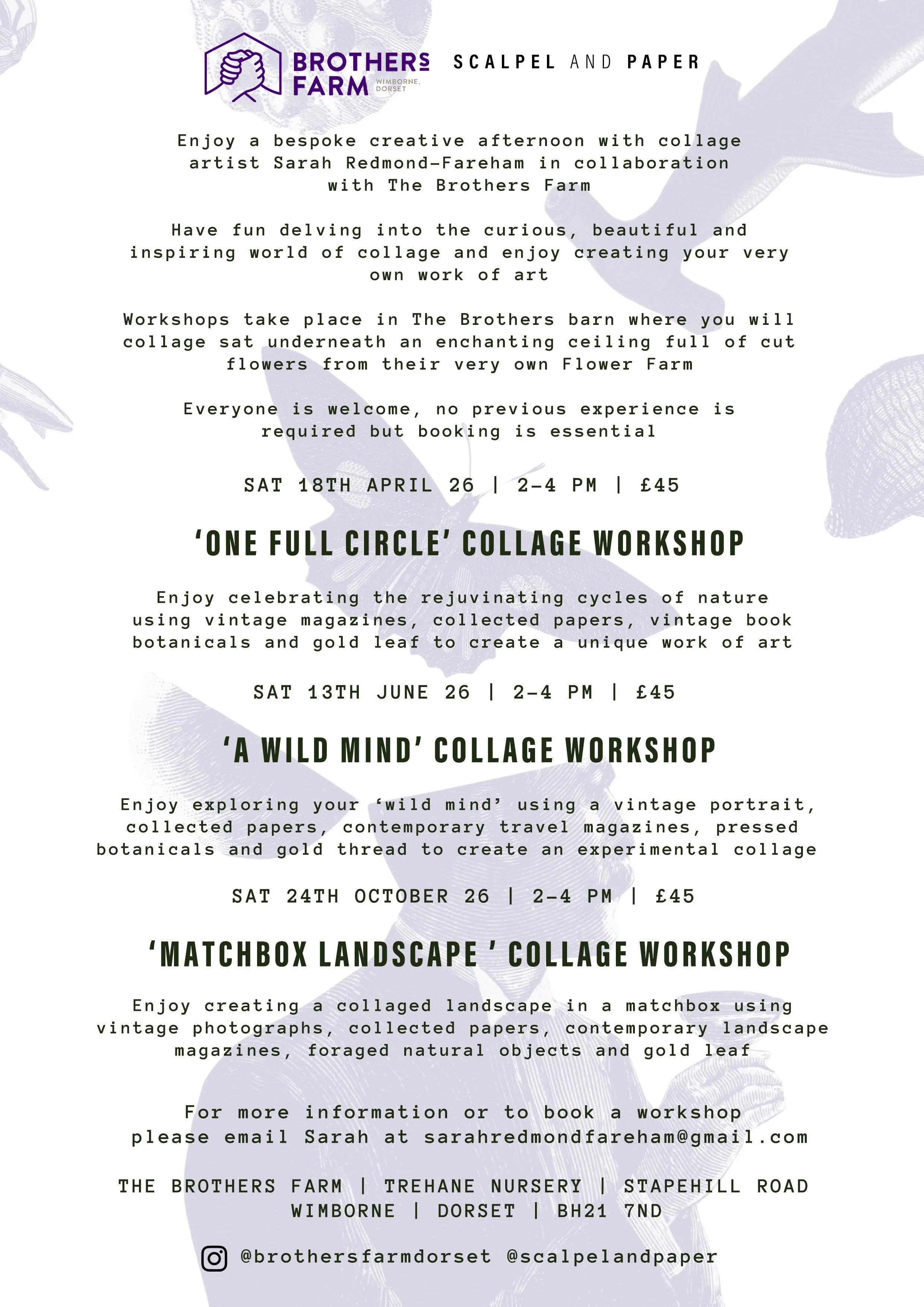 MAKE BROTHERS BACK 2026.jpg