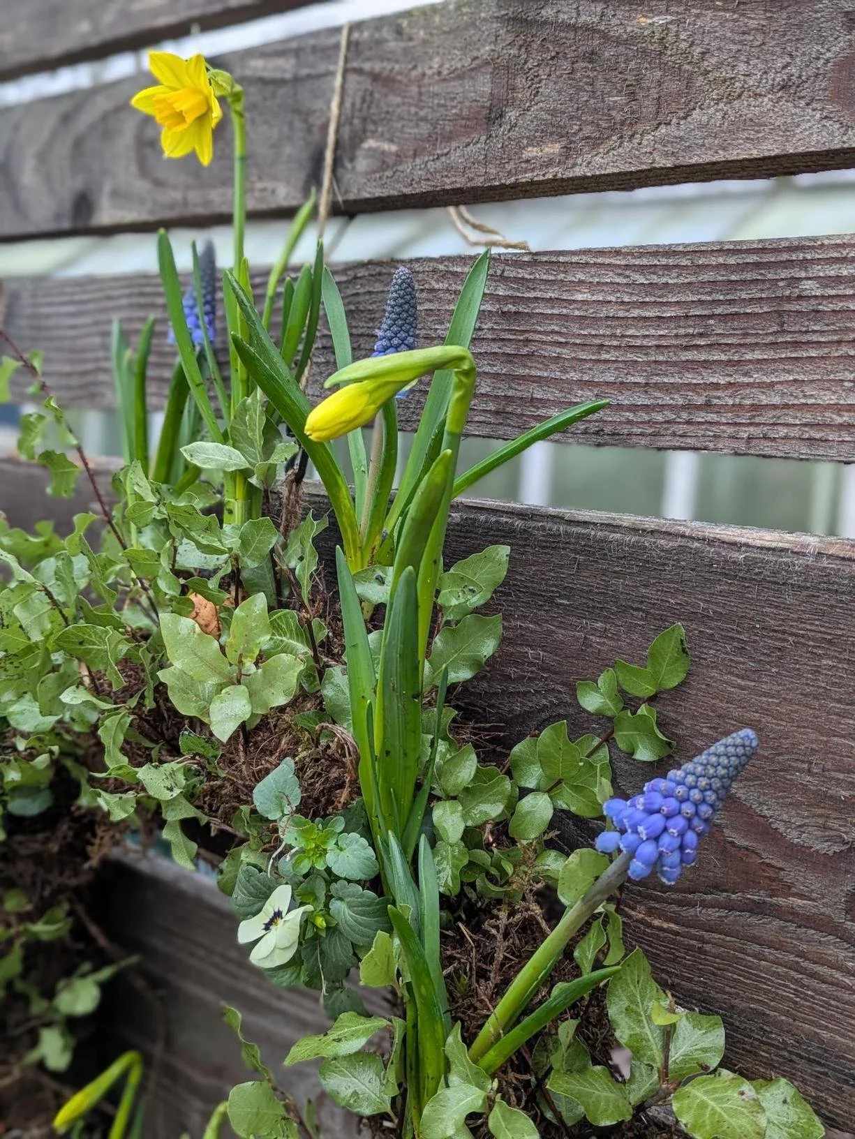 PXL_20260210_121427533.PORTRAIT copy.jpg