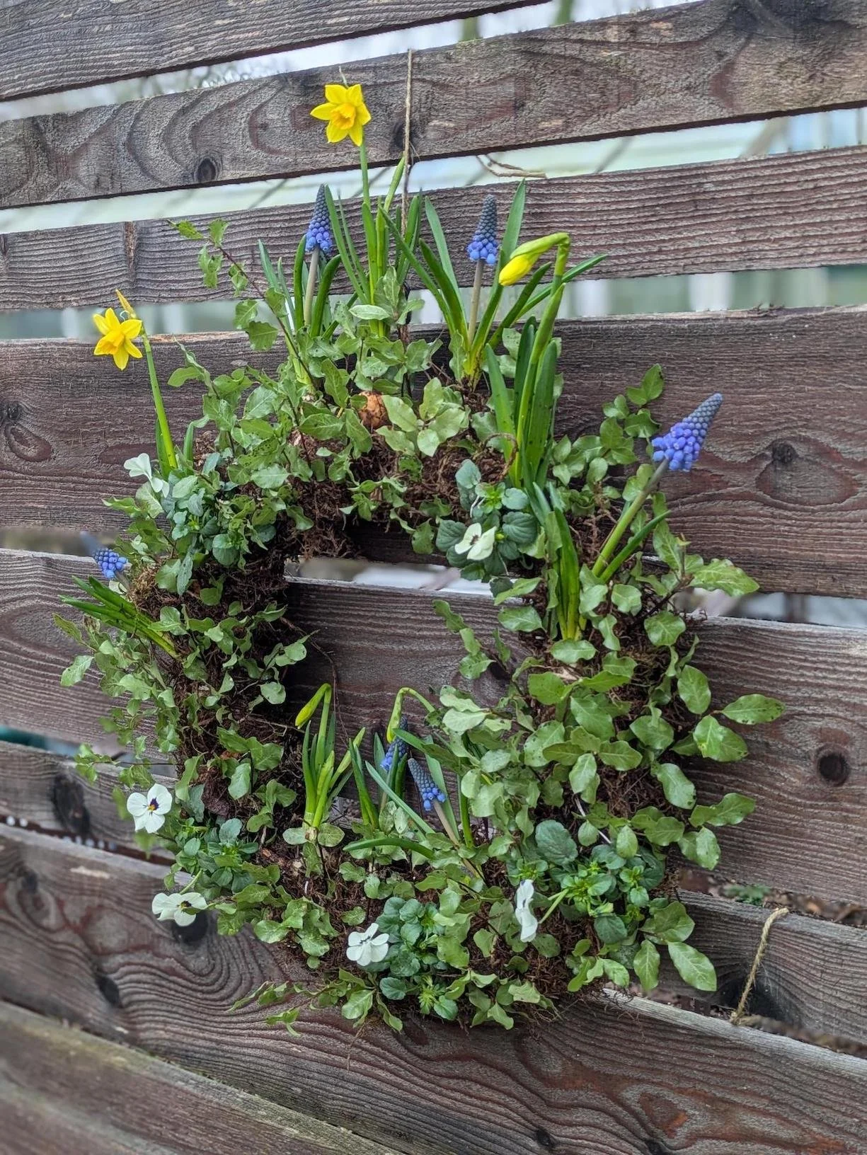 SPRING LIVING WREATH collection