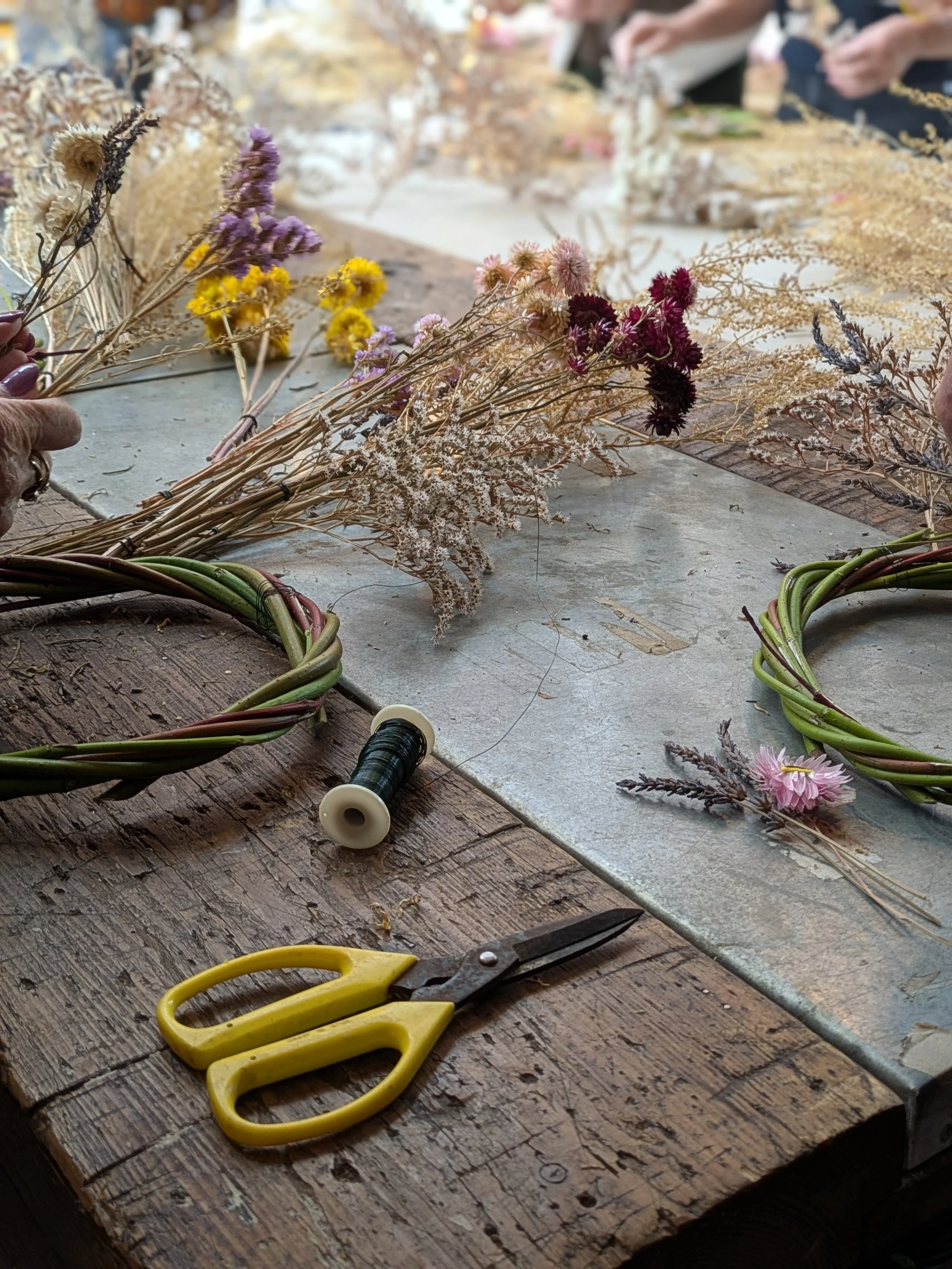 PXL_20250926_131701225.PORTRAIT copy.jpg