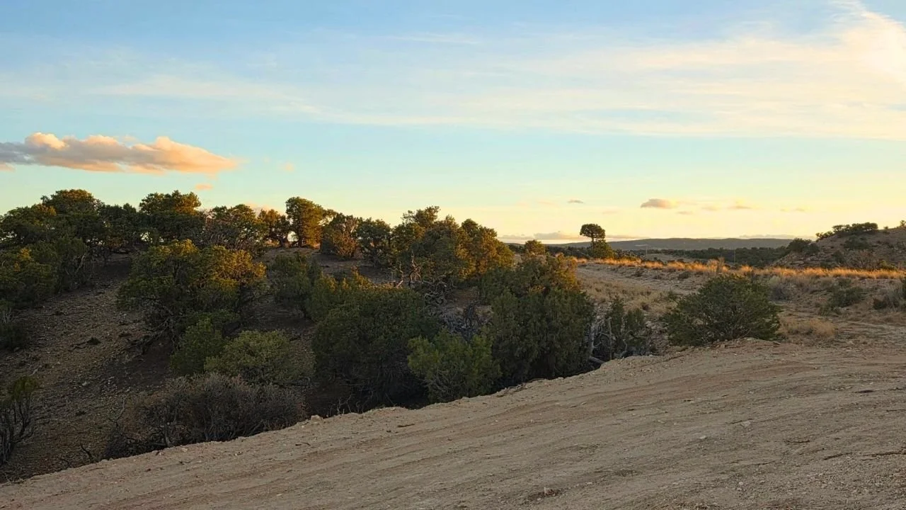 KOCHRD-1 | 5.07 Acres | Koch Road Lake View Property