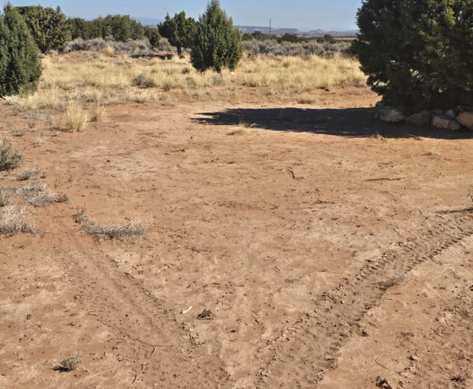 Screenshot 2026-01-13 at 11.04.04 AM.png