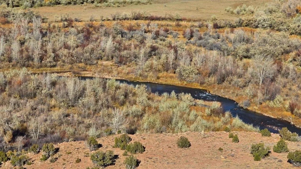 CMT-8-1 | 10.04 Acres