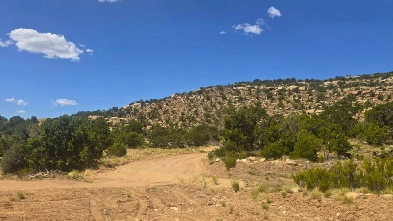 3402-0006 | 5 Acres | Mountain Property