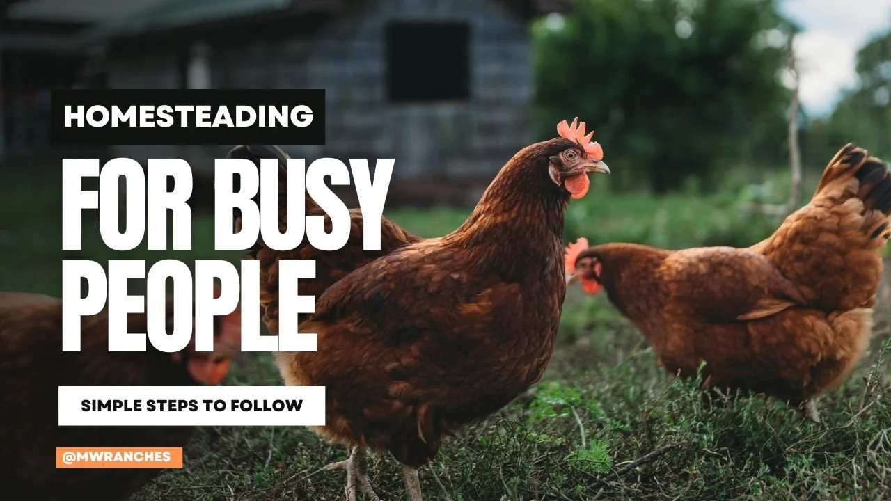 Homesteading for Busy People: Simple Steps to Start Small