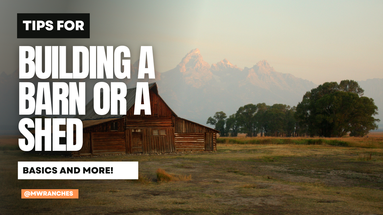 Building a Barn or Shed: Permits and Prep