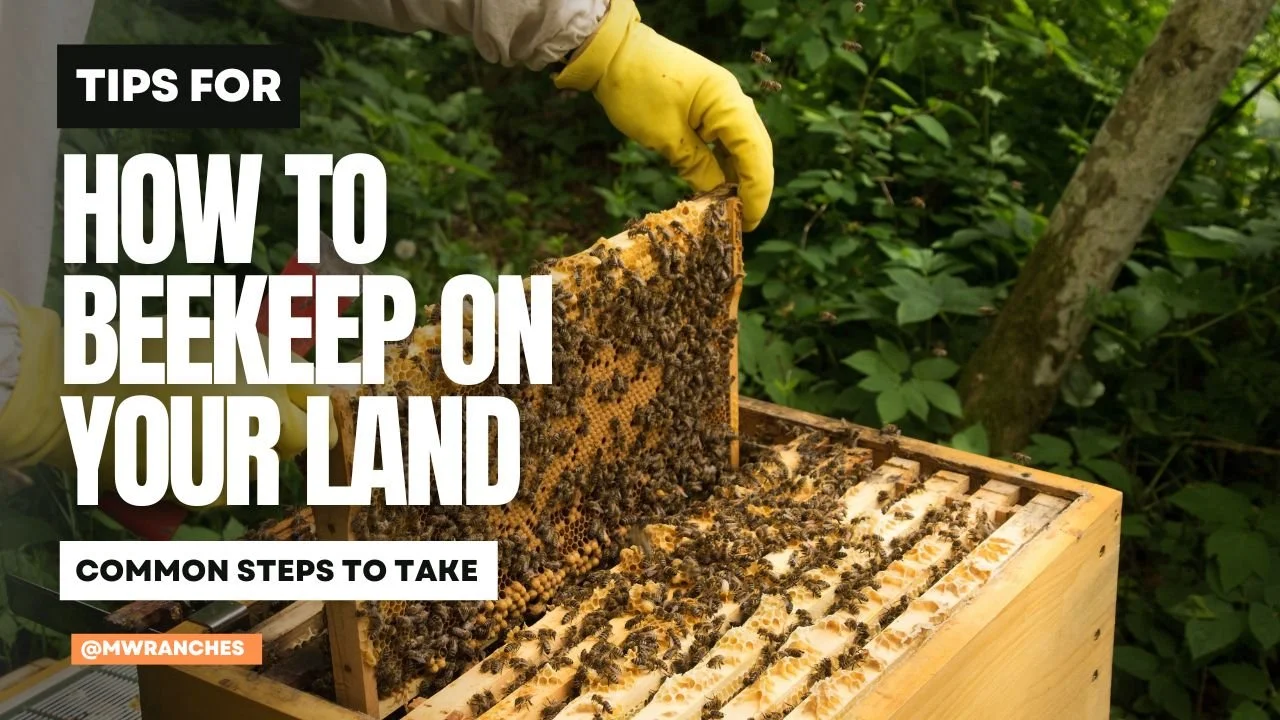 How to Beekeep on Your Land in Utah