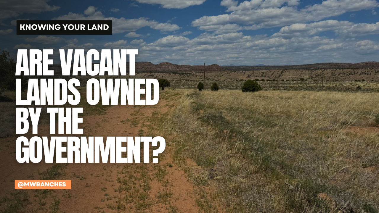 Are Vacant Lands Owned by the Government?