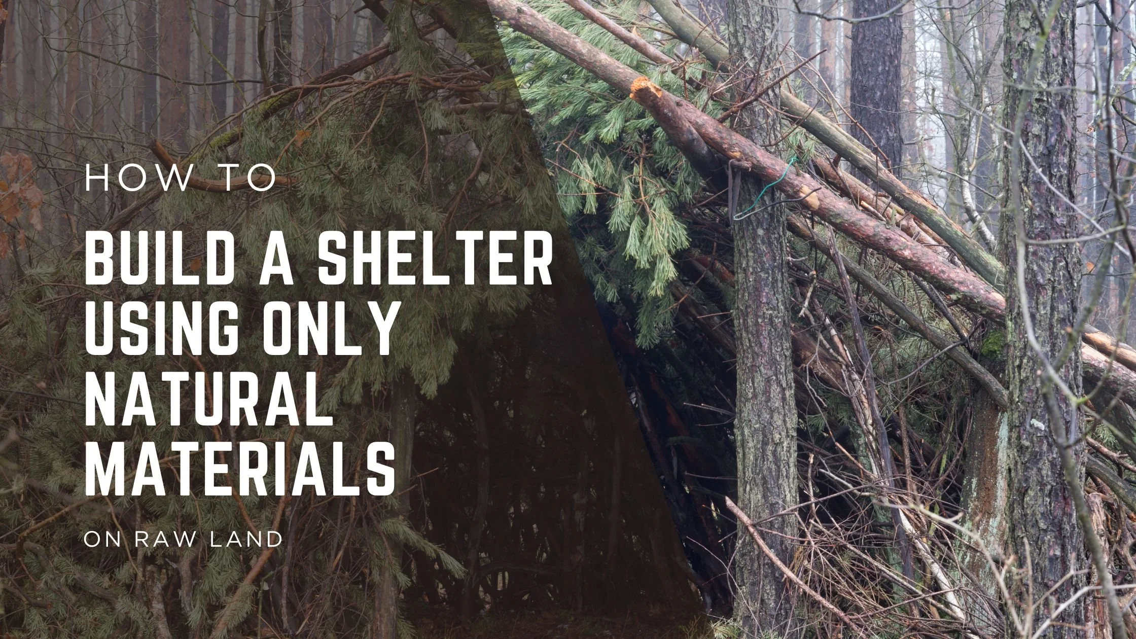 How to Build a Shelter Using Only Natural Materials