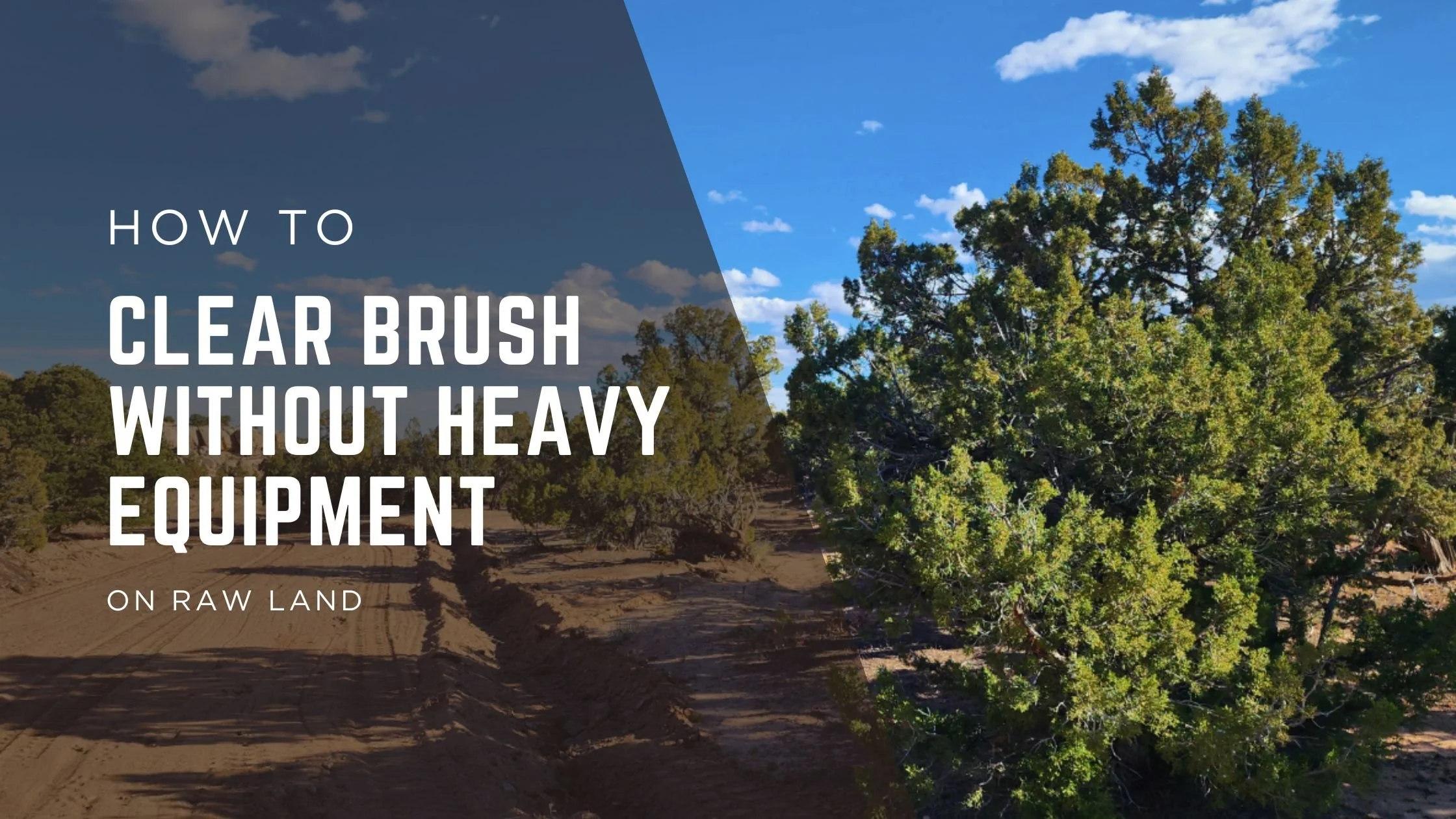 How to Clear Brush Without Heavy Equipment