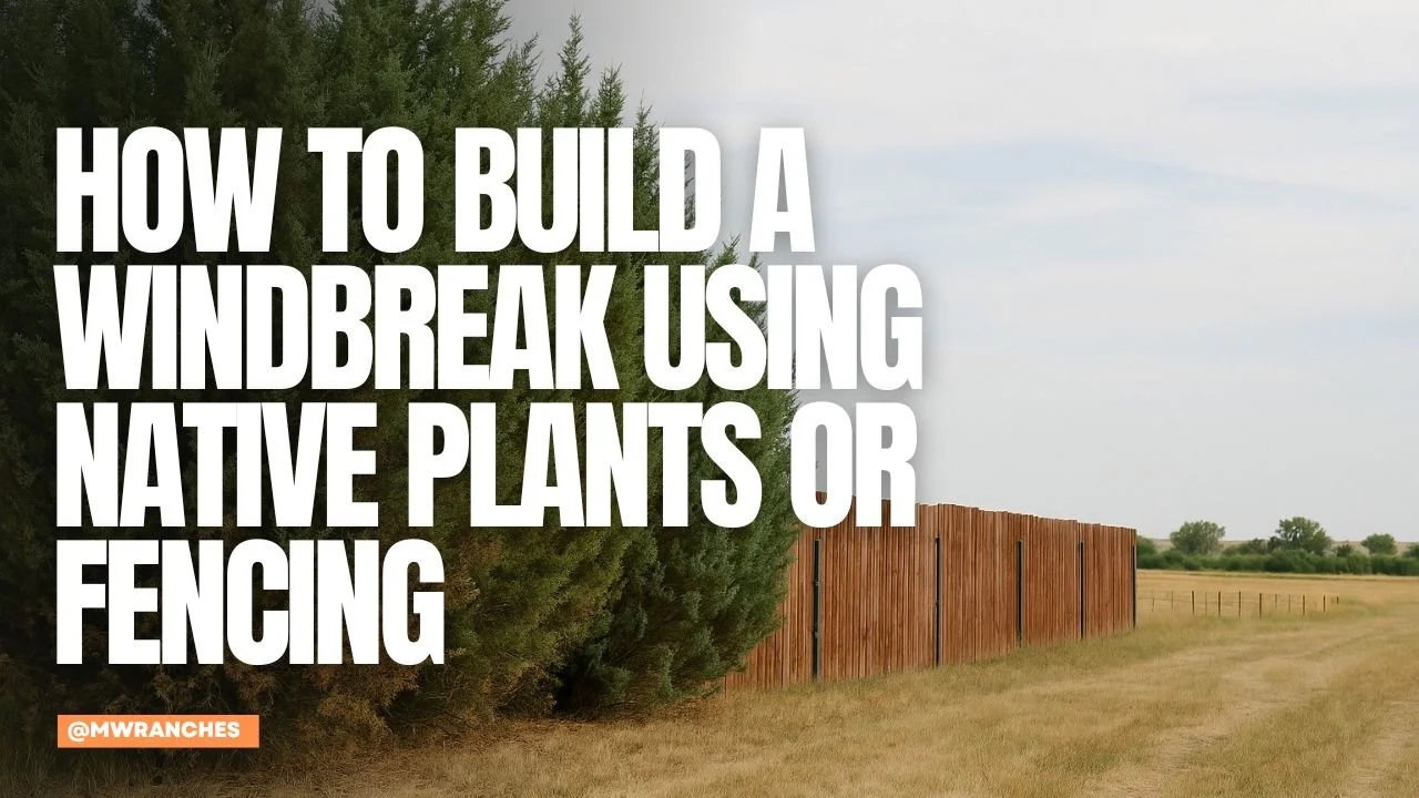 How to Build a Windbreak Using Native Plants or Fencing
