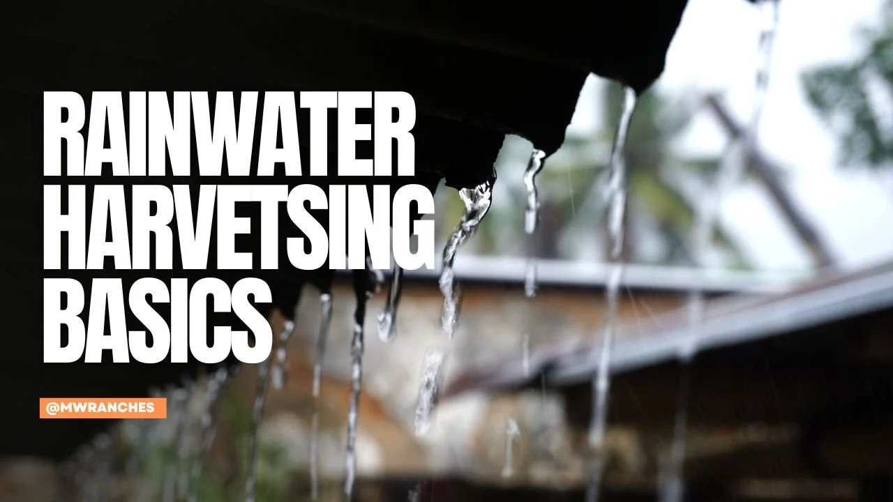 Rainwater Harvesting Basics