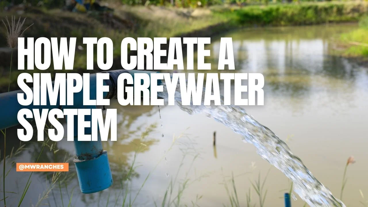 How to Create a Simple Greywater System