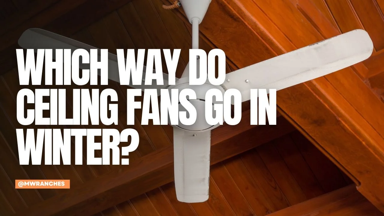 Which Way Do Ceiling Fans Go in Winter?