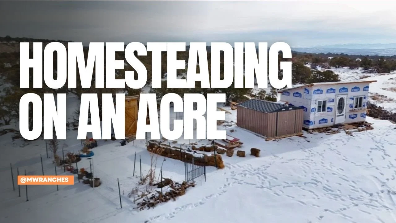 Homesteading on an Acre