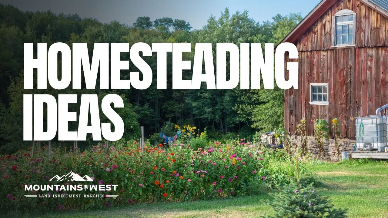 Homesteading Ideas