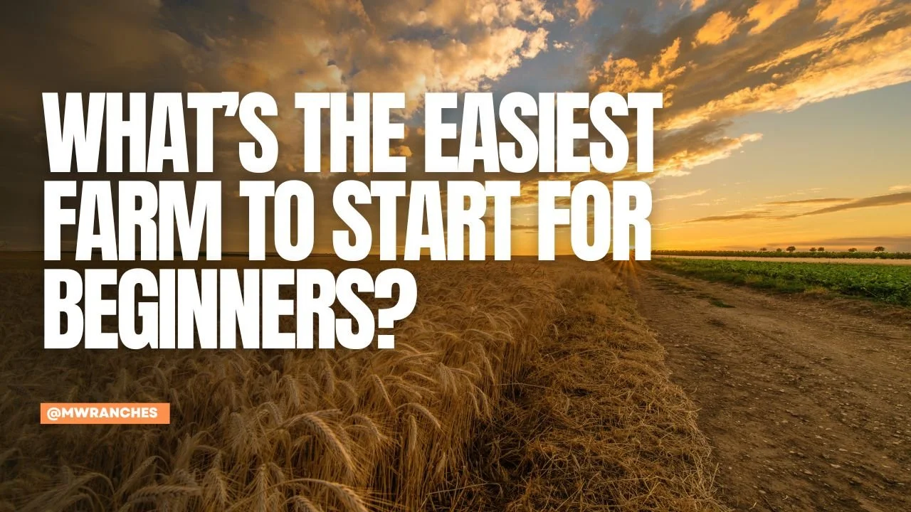 What’s the Easiest Farm to Start for Beginners?