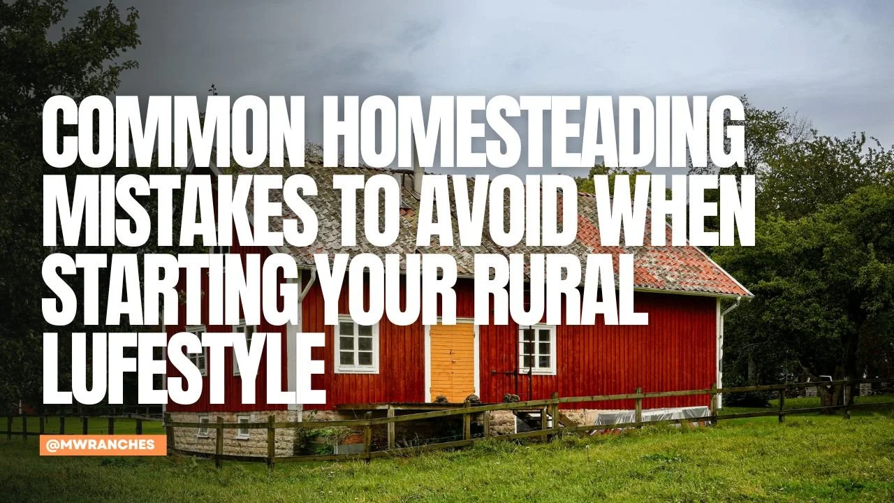 Common Homesteading Mistakes to Avoid When Starting Your Rural Lifestyle