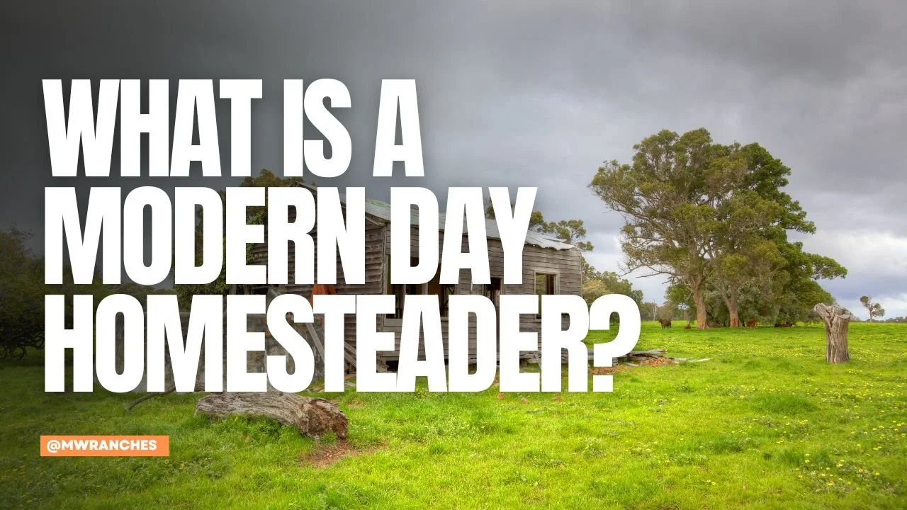 What Is a Modern Day Homesteader?