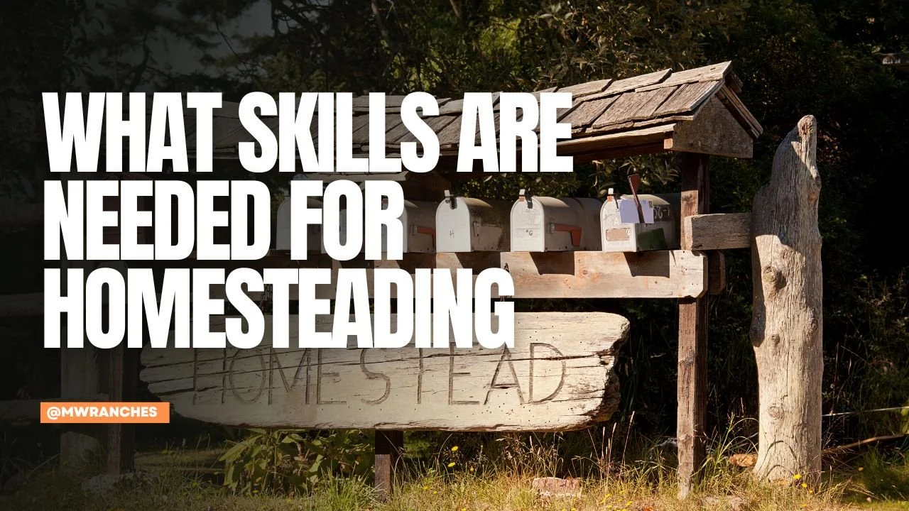 What Skills Are Needed for Homesteading?