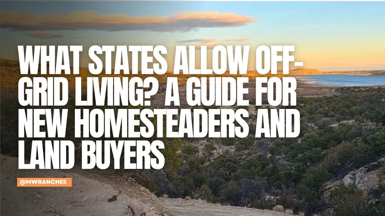 What States Allow Off-Grid Living? A Guide for New Homesteaders and Land Buyers
