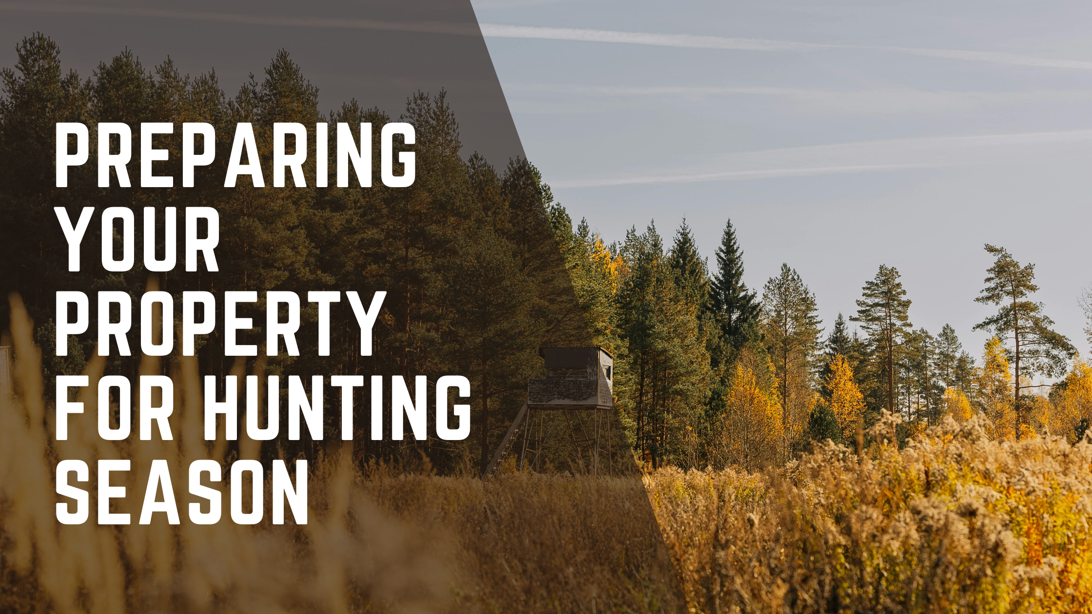 Preparing Your Property for Hunting Season
