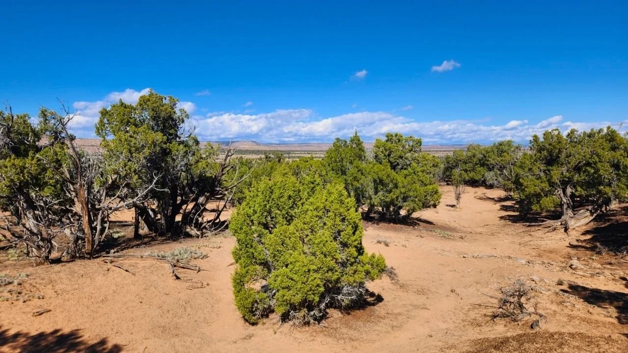 Buck Horn Mesa 4-I